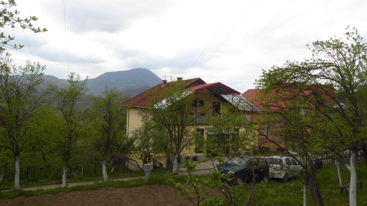 Guest House Pribojska Banja Exteriér fotografie