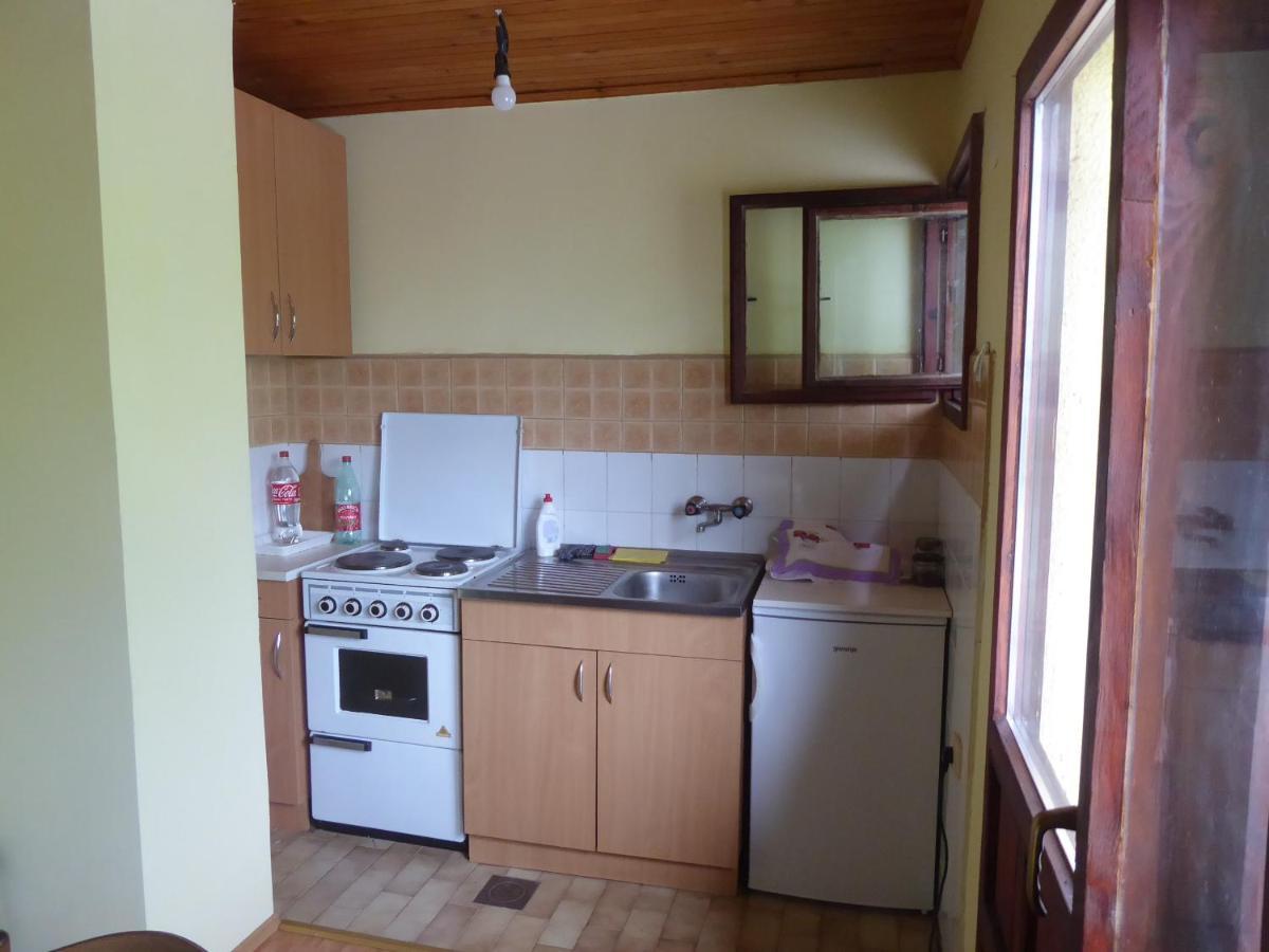Guest House Pribojska Banja Exteriér fotografie