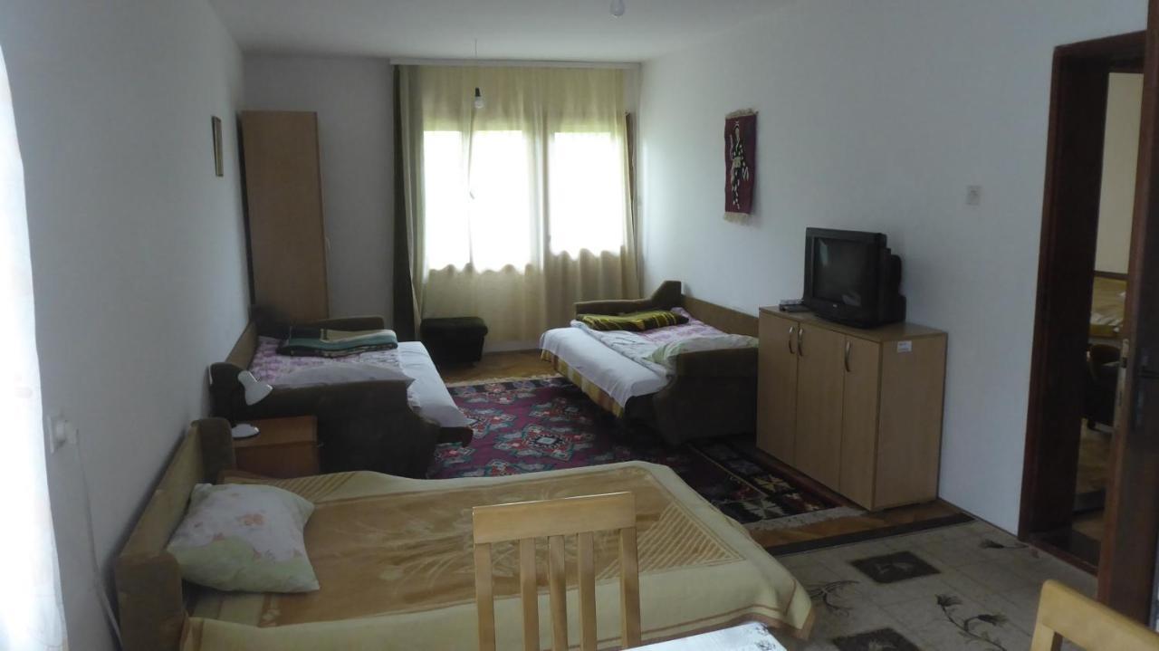 Guest House Pribojska Banja Exteriér fotografie