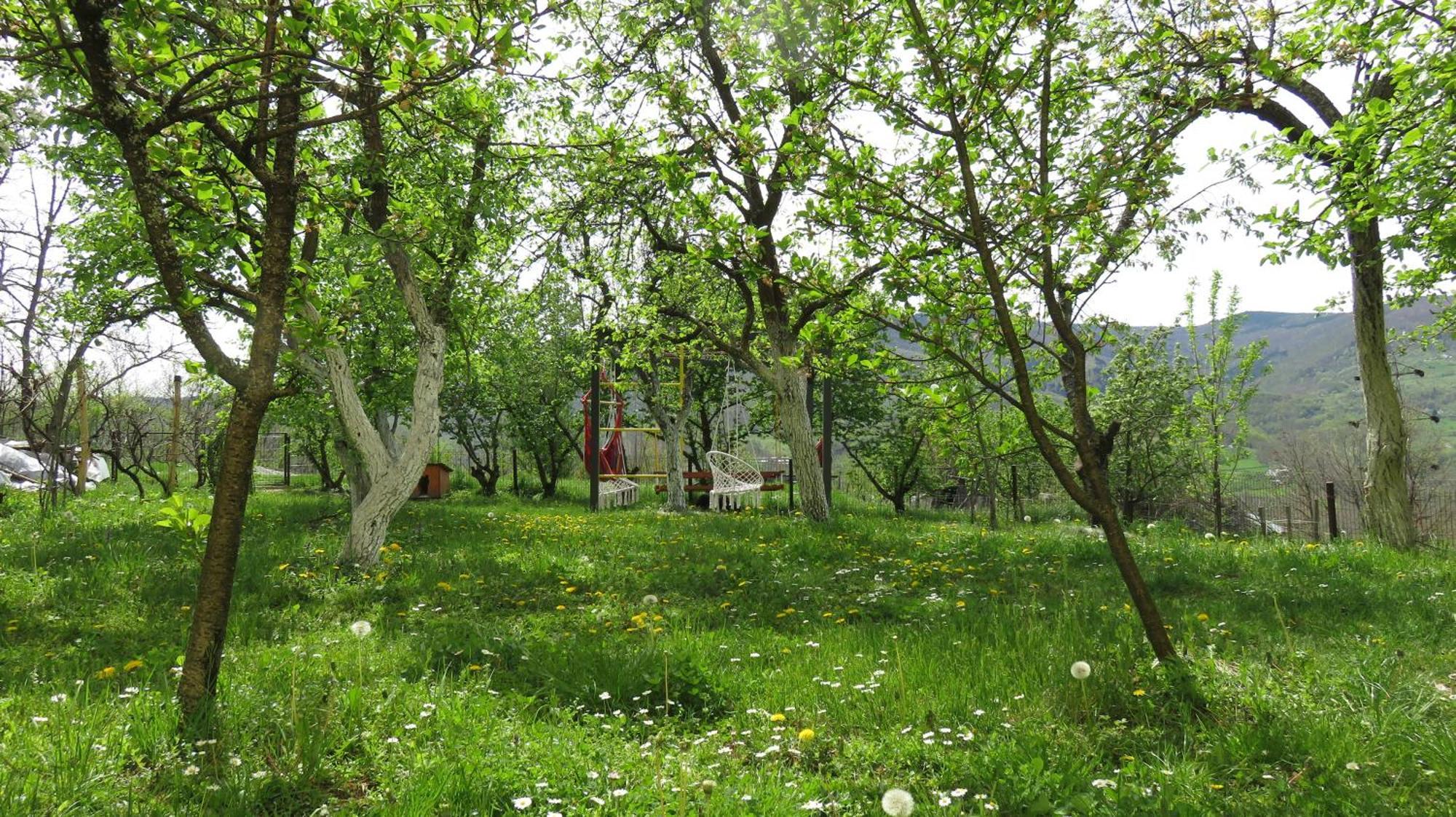 Guest House Pribojska Banja Exteriér fotografie