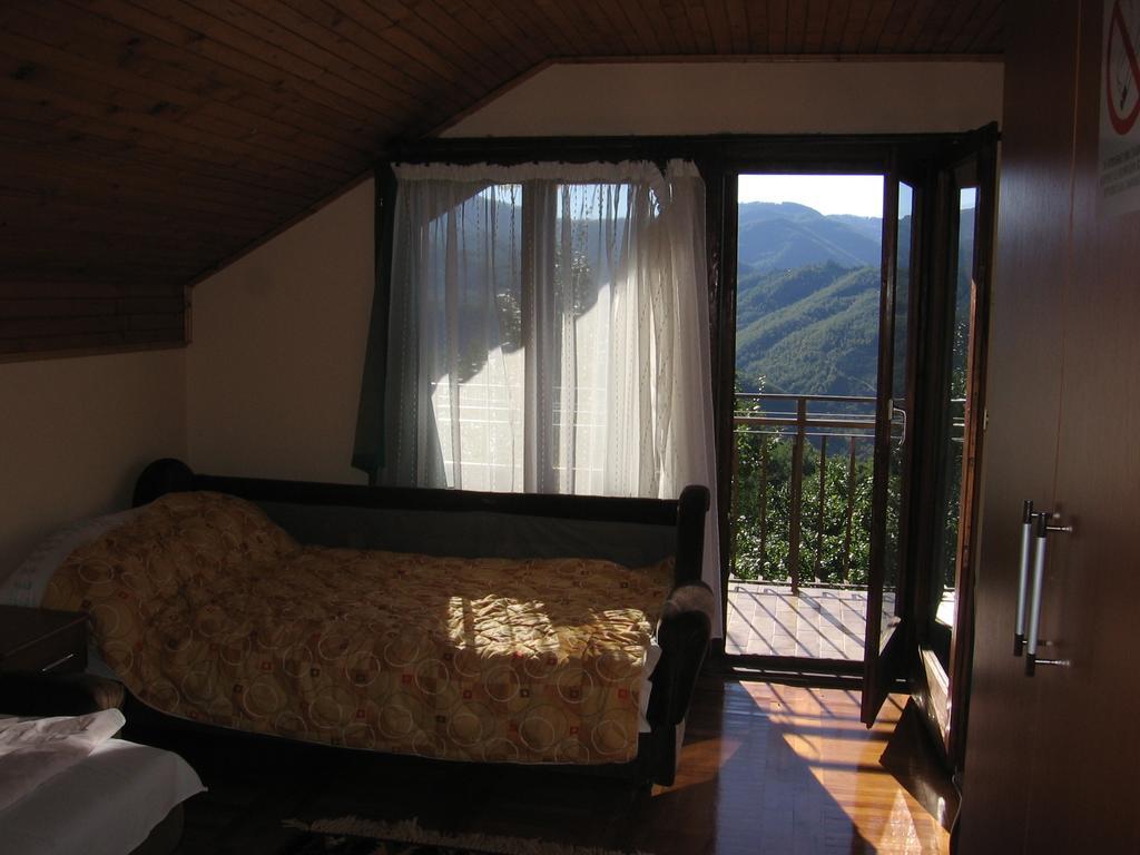 Guest House Pribojska Banja Exteriér fotografie