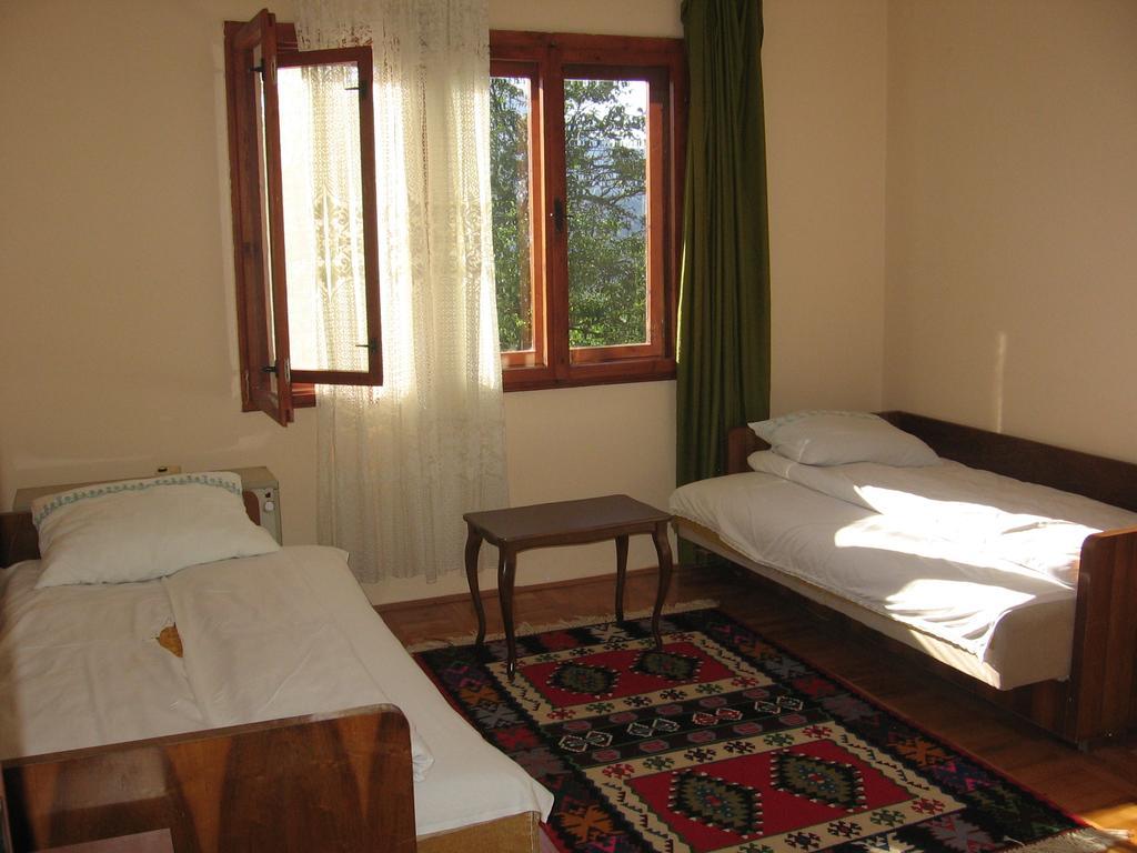 Guest House Pribojska Banja Exteriér fotografie